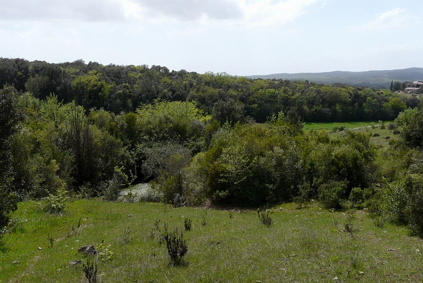 In un podere vicino Massa Marittima (GR)